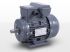 Motor 1f 0,06kW 1400rpm | MYT 056A-4 B3 alu IE1 Motor 1f 0,06kW 1400rpm | MYT 056A-4 B3 alu IE1