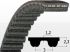 Curea D-STD 3M 399 (z=133) Bando