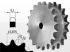 Roata de lant 10B Z13 pt doua lanturi simple