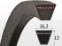 Curea SPB 1320 Lw, Optibelt S=C Plus